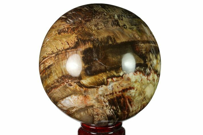Colorful Petrified Wood Sphere - Madagascar #163368